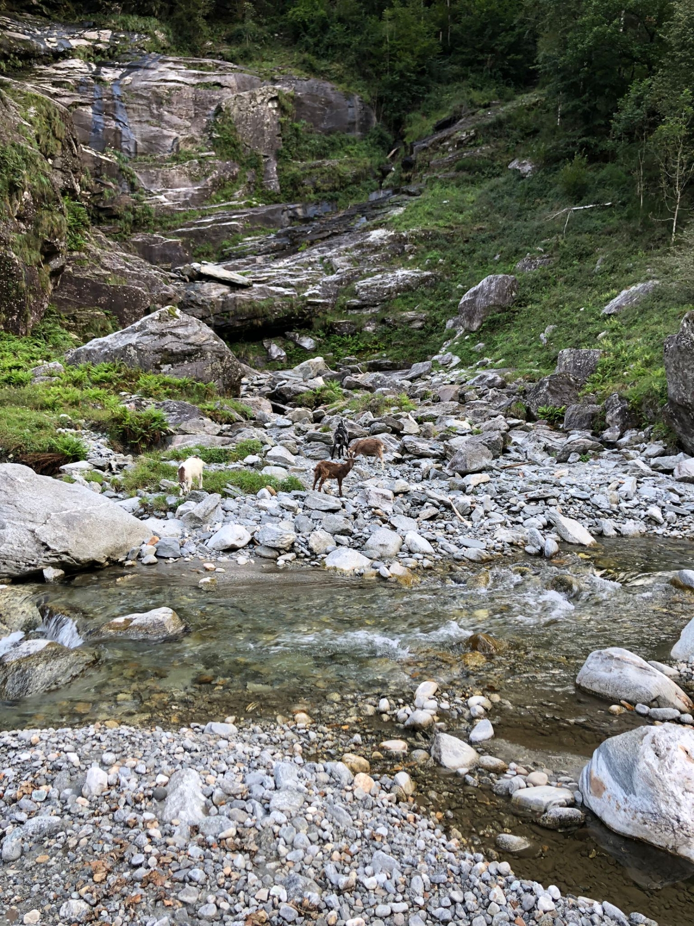 IMG-20210828-WA0013