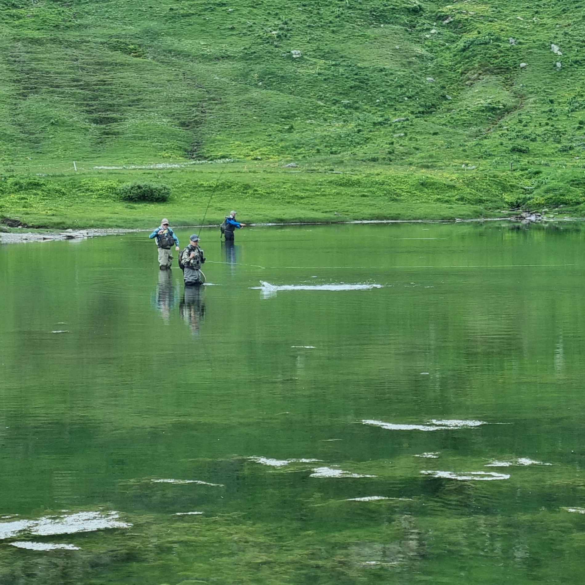IMG-20240707-WA0030