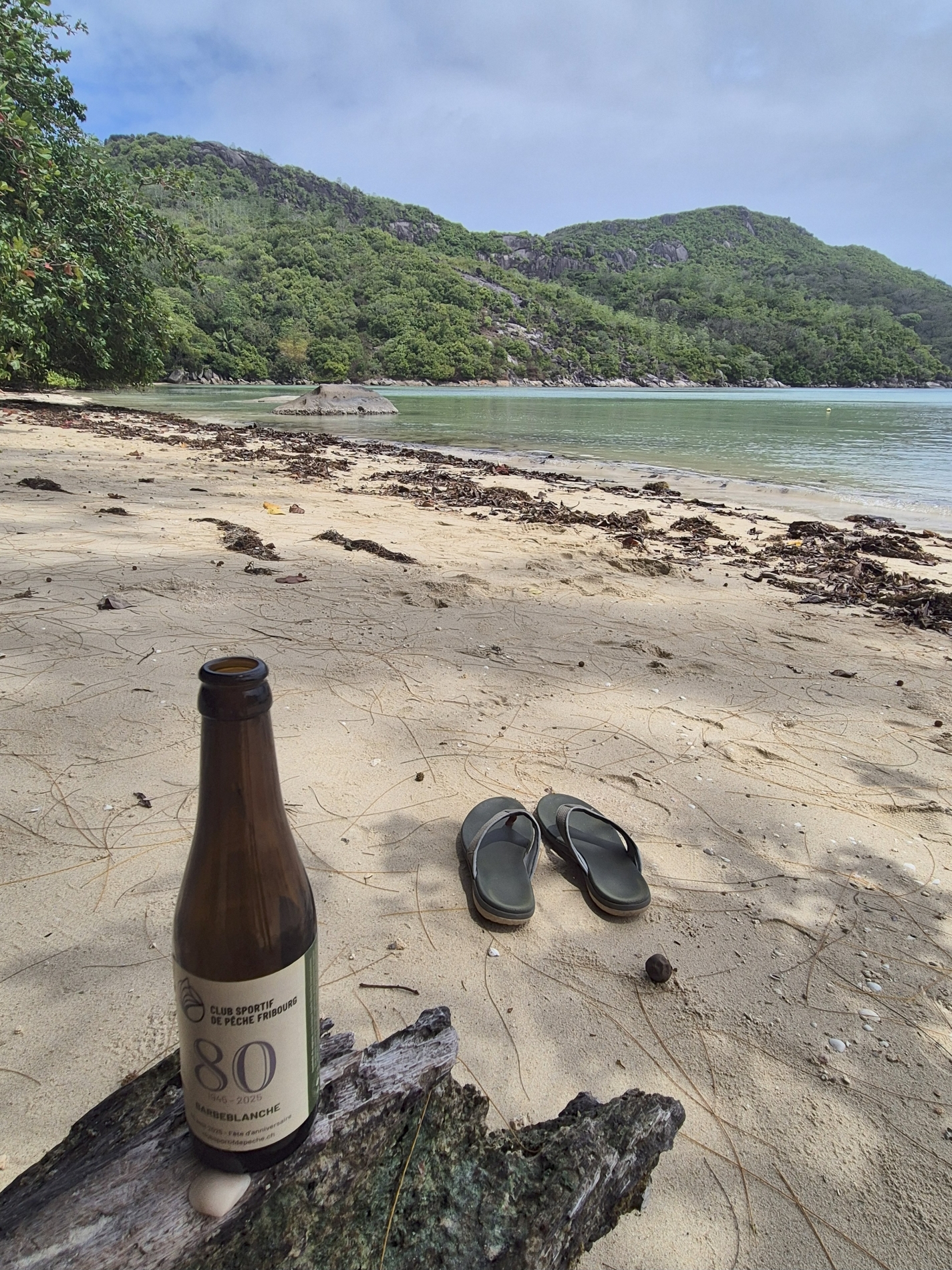 Fabrice_20250808_124539